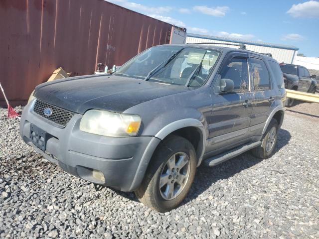 FORD ESCAPE XLT 2007 1fmyu03187ka34838