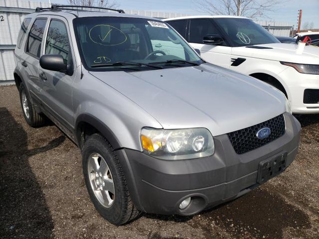 FORD ESCAPE XLT 2007 1fmyu03187ka37092