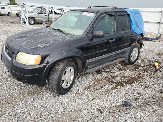 FORD ESCAPE XLT 2003 1fmyu03193kd11331