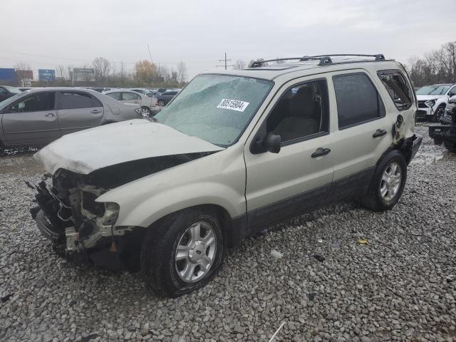 FORD ESCAPE XLT 2004 1fmyu03194kb36029