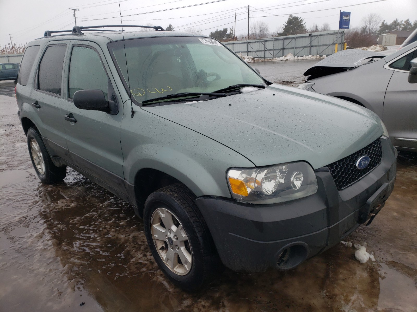 FORD ESCAPE XLT 2005 1fmyu03195kb19989