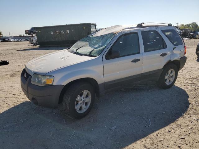 FORD ESCAPE 2006 1fmyu03196ka41392