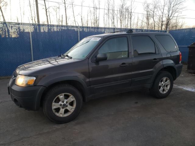 FORD ESCAPE XLT 2006 1fmyu03196kd00348