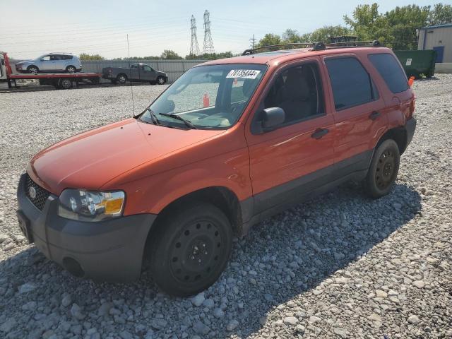 FORD ESCAPE XLT 2007 1fmyu03197ka85720