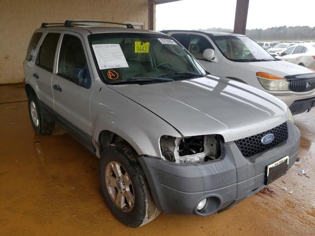 FORD ESCAPE XLT 2007 1fmyu03197kb36228