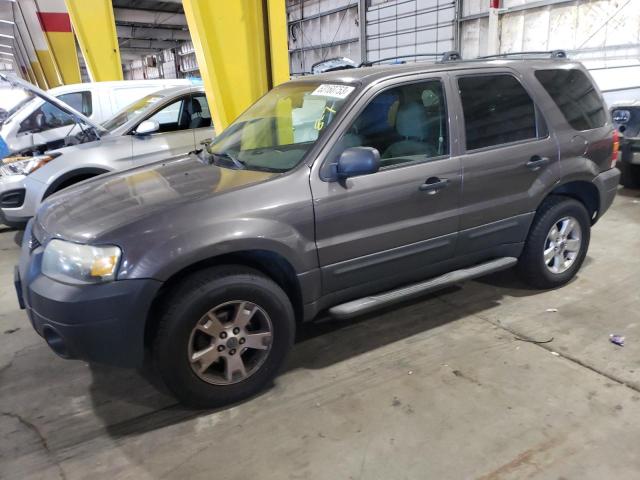 FORD ESCAPE XLT 2006 1fmyu031x6kb37595