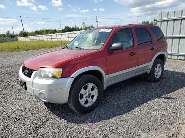 FORD ESCAPE XLT 2007 1fmyu031x7ka73558