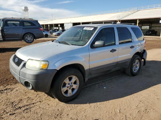 FORD ESCAPE XLT 2007 1fmyu03z07ka06506