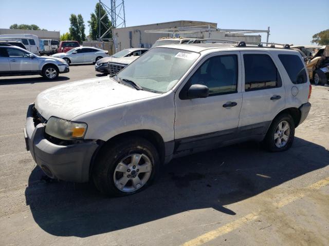 FORD ESCAPE 2007 1fmyu03z17kb80293