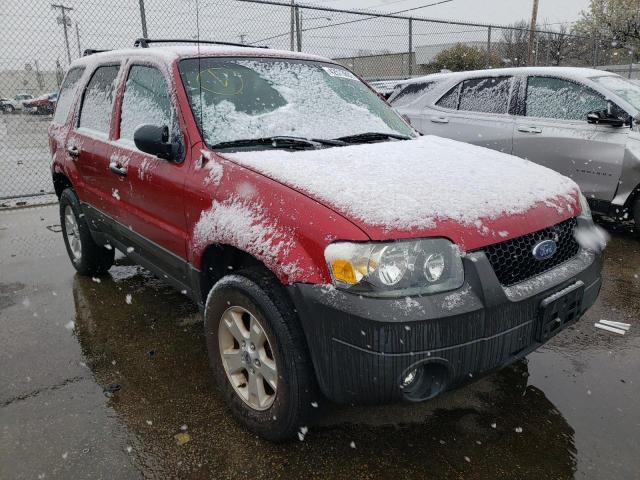 FORD ESCAPE XLT 2006 1fmyu03z36ka74183