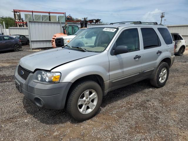 FORD ESCAPE 2006 1fmyu03z36kb98793