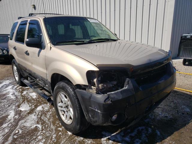 FORD ESCAPE XLT 2007 1fmyu03z67ka33807