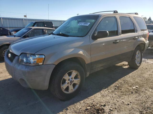 FORD ESCAPE XLT 2007 1fmyu03z77kb17649