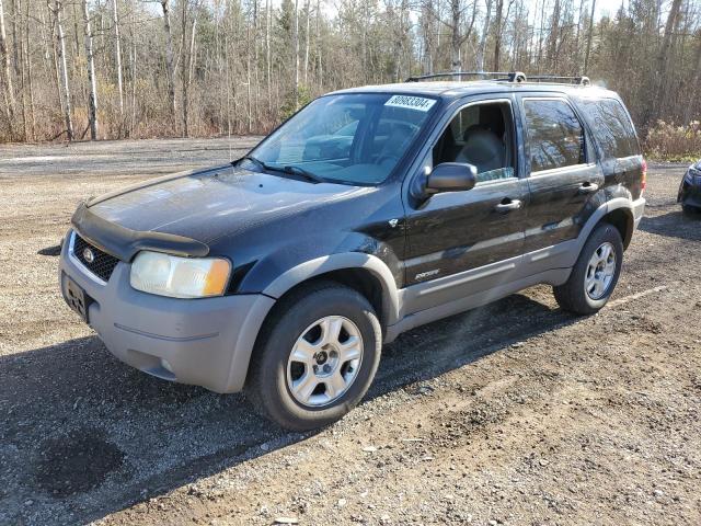 FORD ESCAPE XLT 2001 1fmyu04111kc16497