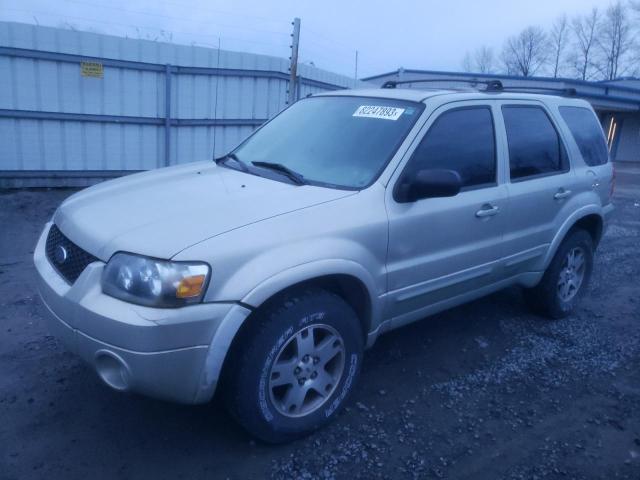 FORD ESCAPE 2005 1fmyu04135kb05553