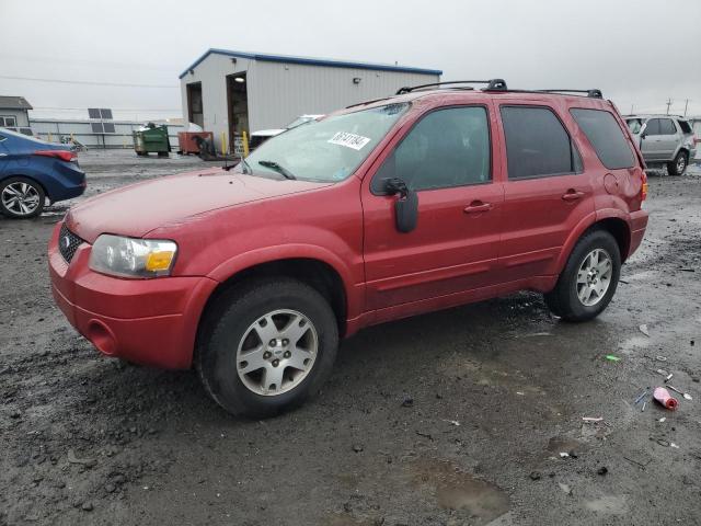 FORD ESCAPE LIM 2005 1fmyu04135kb85064