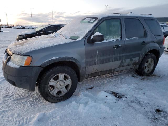 FORD ESCAPE 2003 1fmyu93103kc84749