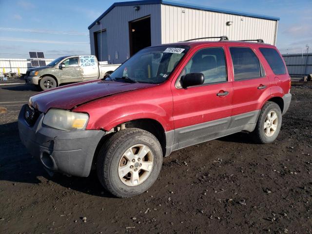 FORD ESCAPE 2005 1fmyu93105kb08156