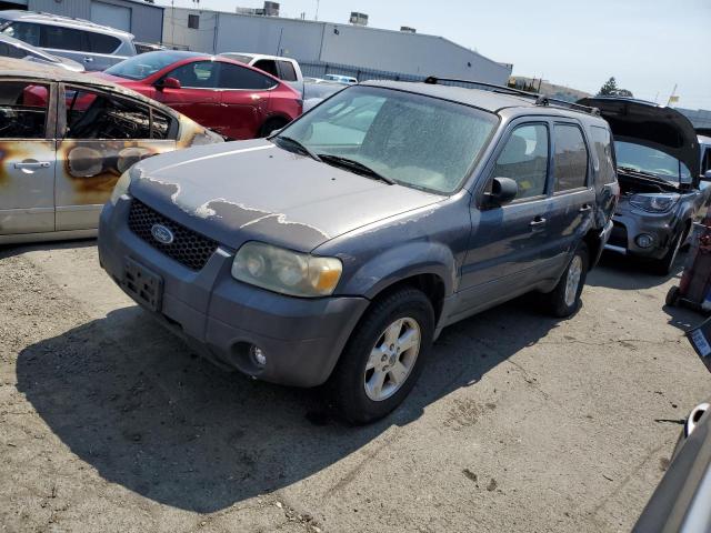 FORD ESCAPE XLT 2005 1fmyu93115ka12438