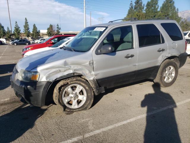 FORD ESCAPE 2005 1fmyu93115ke08000