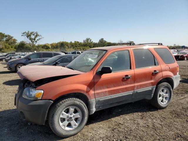 FORD ESCAPE XLT 2006 1fmyu93116ka41553