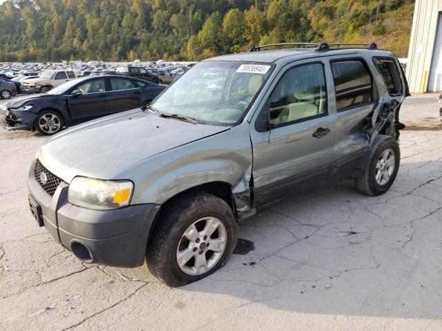 FORD ESCAPE 2006 1fmyu93116kd25264