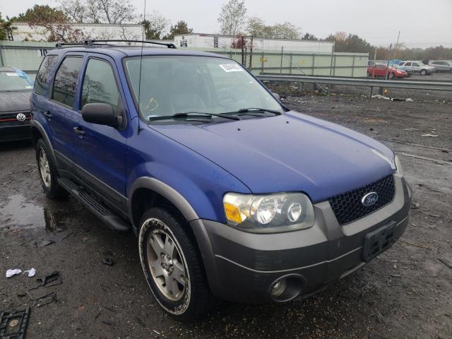 FORD ESCAPE XLT 2005 1fmyu93125ka80280