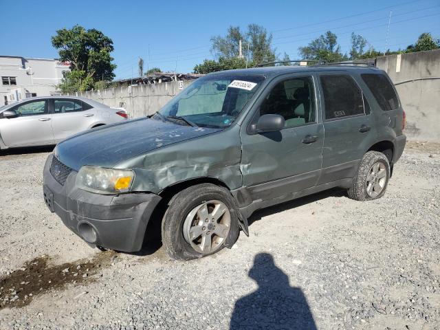 FORD ESCAPE XLT 2006 1fmyu93126kb20648