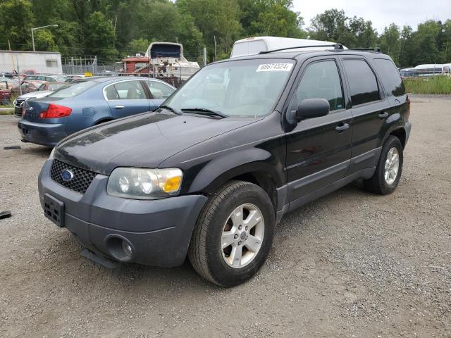 FORD ESCAPE XLT 2006 1fmyu93126kd03144