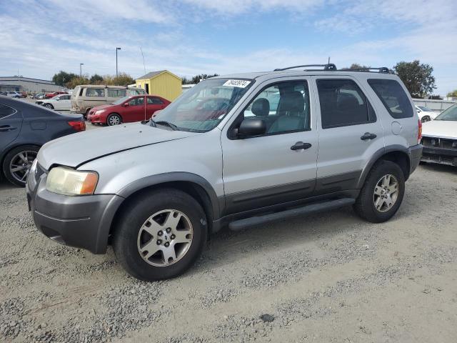 FORD ESCAPE XLT 2003 1fmyu93133ke09212