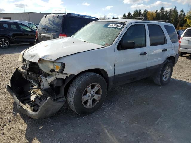 FORD ESCAPE 2005 1fmyu93135da13885