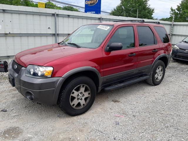 FORD ESCAPE 2005 1fmyu93135kb06000