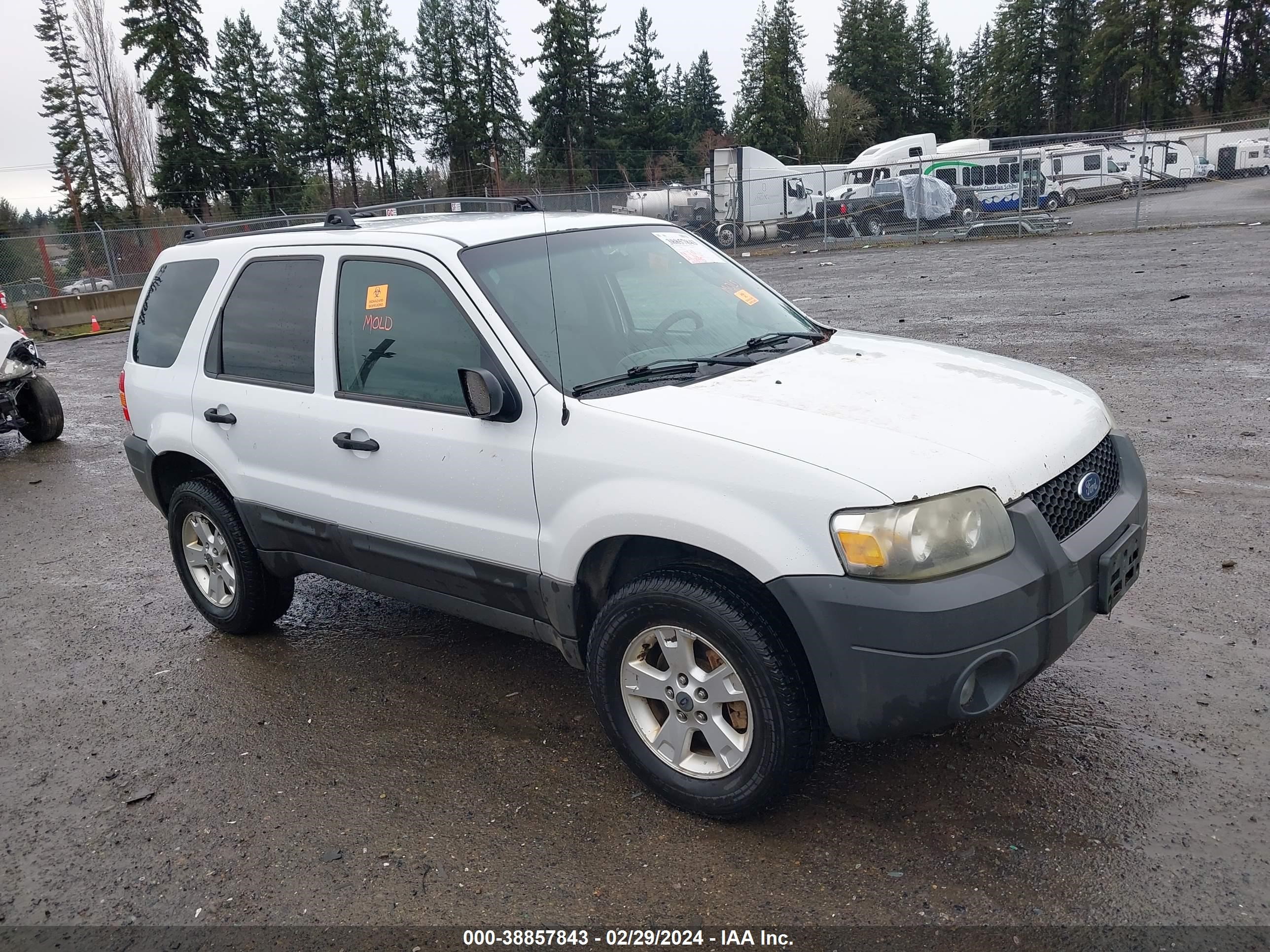 FORD ESCAPE 2005 1fmyu93135kc27867