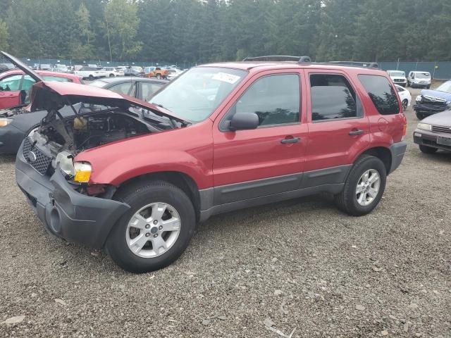 FORD ESCAPE XLT 2005 1fmyu93135ke31813