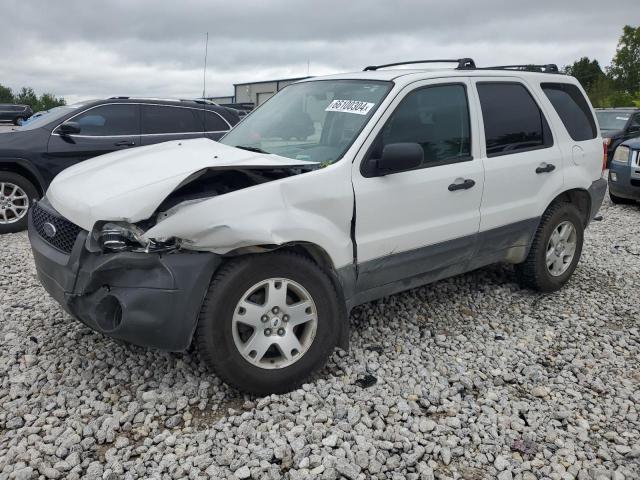 FORD ESCAPE XLT 2006 1fmyu93136kc12769