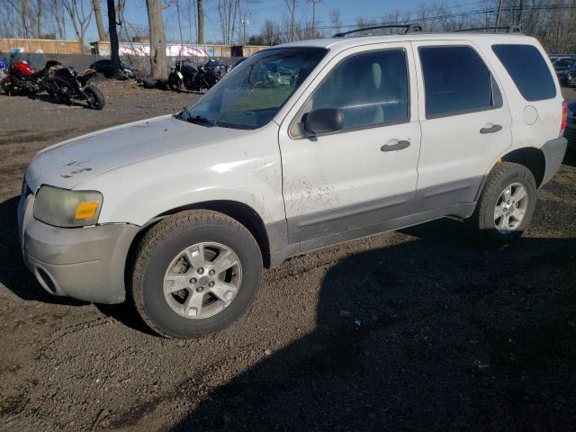 FORD ESCAPE XLT 2006 1fmyu93136kc63382