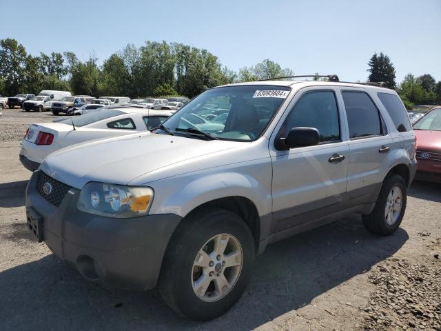 FORD ESCAPE 2006 1fmyu93136kd47234