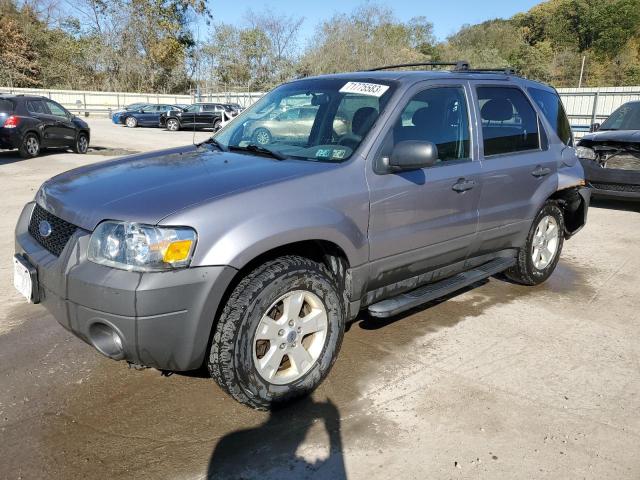 FORD ESCAPE XLT 2007 1fmyu93137ka52989