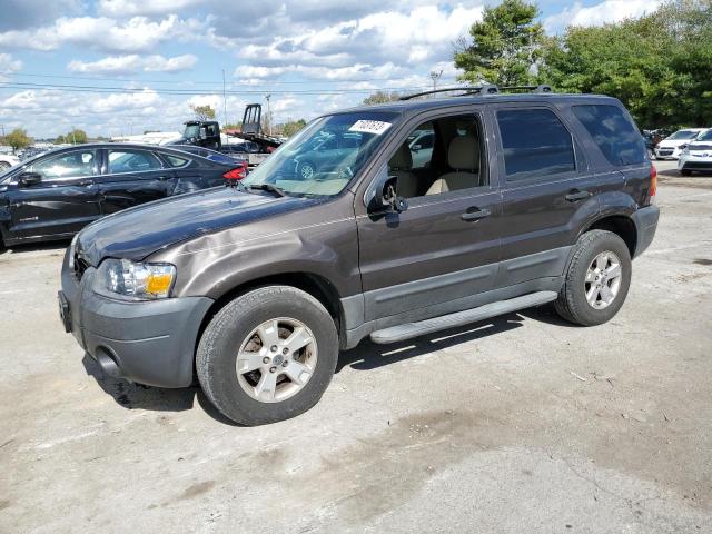 FORD ESCAPE 2006 1fmyu93146kb78504