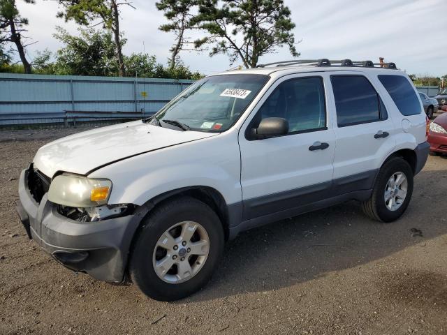 FORD ESCAPE XLT 2006 1fmyu93146kc65402