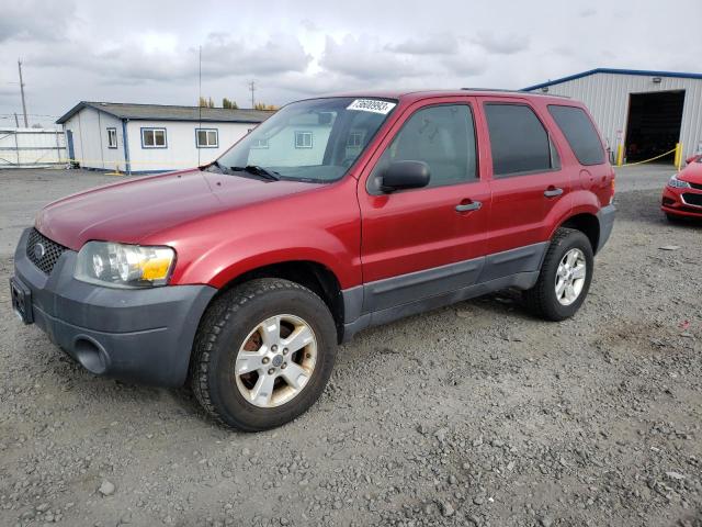 FORD ESCAPE 2006 1fmyu93146kc66145