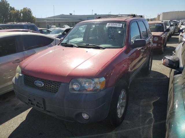 FORD ESCAPE XLT 2007 1fmyu93147kb53345