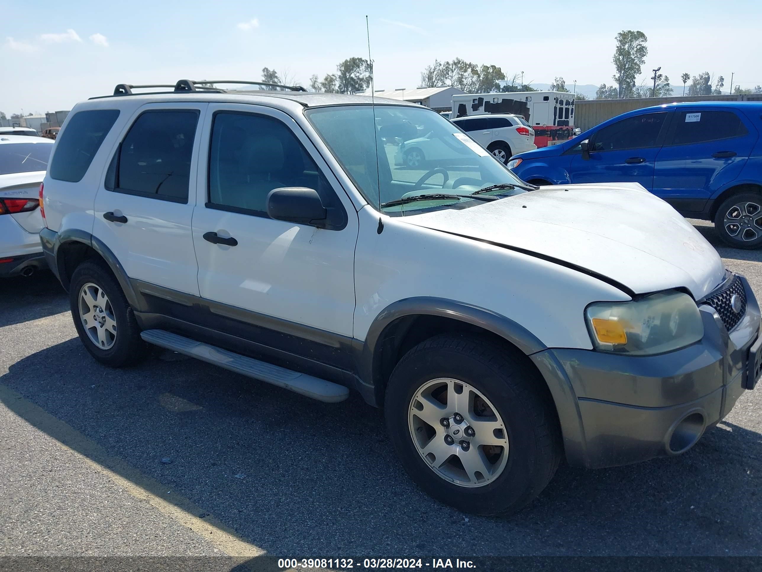 FORD ESCAPE 2005 1fmyu93155kd65832