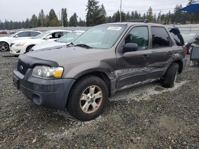 FORD ESCAPE XLT 2006 1fmyu93156ka03176