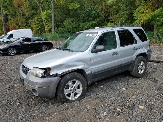 FORD ESCAPE XLT 2006 1fmyu93156kd49857