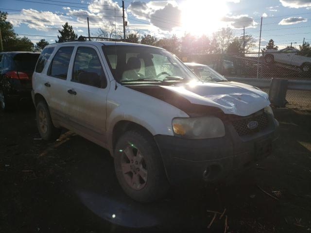 FORD ESCAPE 2005 1fmyu93165kc04843