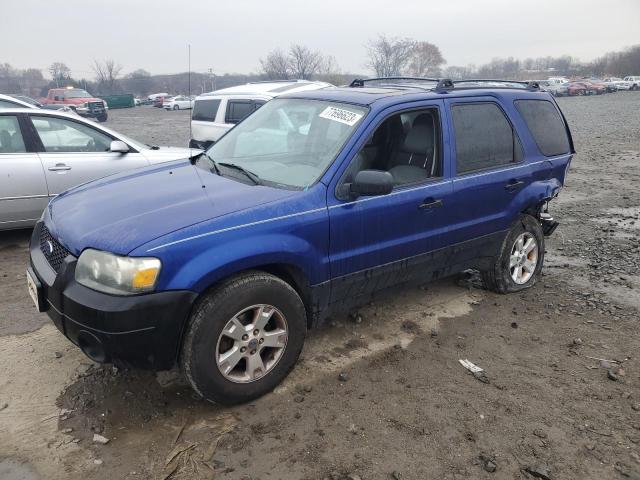 FORD ESCAPE XLT 2005 1fmyu93165kd64012