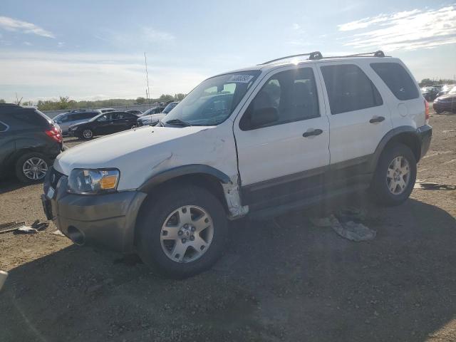 FORD ESCAPE 2006 1fmyu93166kb00306