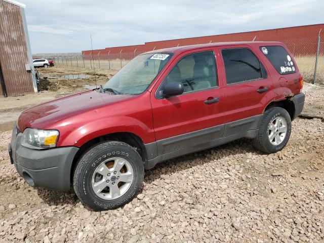 FORD ESCAPE XLT 2006 1fmyu93166kb11614