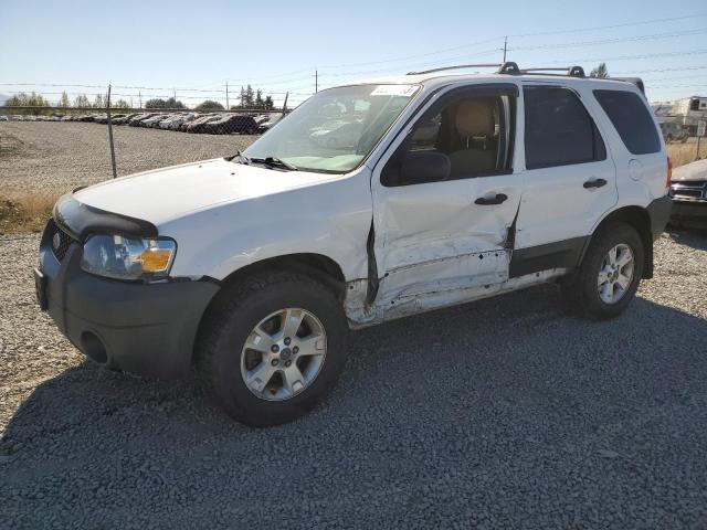 FORD ESCAPE XLT 2005 1fmyu93175kc92382